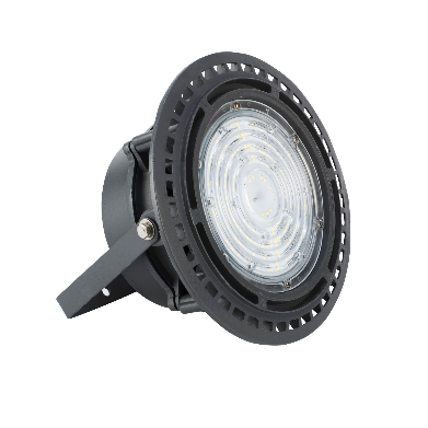 Orient Electric